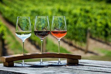 Niagara Wine Cider Beer or Whiskey Tour Tastings Included