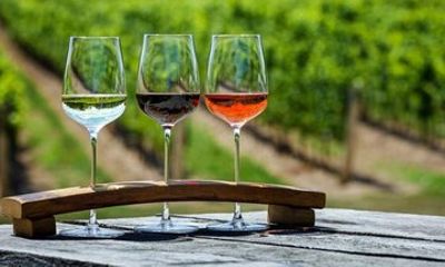Niagara Wine Cider Beer or Whiskey Tour Tastings Included