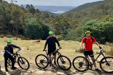Mt Wellington Rainforest Self Guided Off Road Bike Adventure