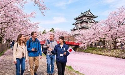 Hirosaki 4hr Private Tour with Government-Licensed Guide