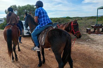 Half Day Beach Horseback Riding from Cape Town
