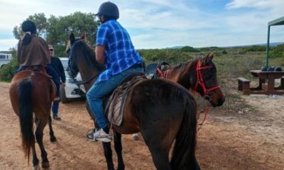 Half Day Beach Horseback Riding from Cape Town