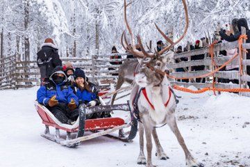 Arctic Combo, Huskies & Reindeer - Rovaniemi