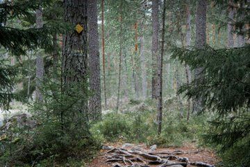 Private Hike in National Park with Campfire Lunch