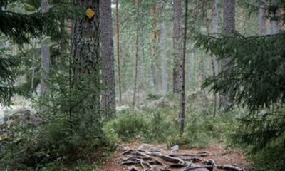Private Hike in National Park with Campfire Lunch