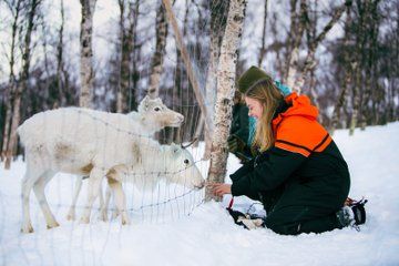 Wilderness Daytime Experience at Camp Tamok
