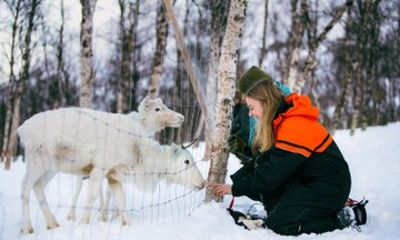 Wilderness Daytime Experience at Camp Tamok