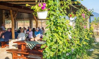 Konavle Valley Tour, Train Ride and Wine Tasting from Kolocep