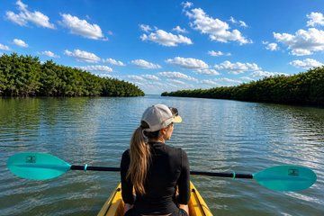 Sebastian Inlet Marina Kayak and SUP Rentals