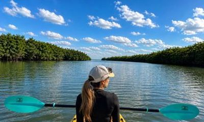 Sebastian Inlet Marina Kayak and SUP Rentals