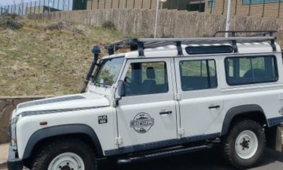 Funchal 4x4 and Whale Watching Combo Adventure