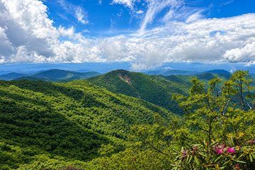 Private Boutique Blue Ridge Parkway Full Day Tour