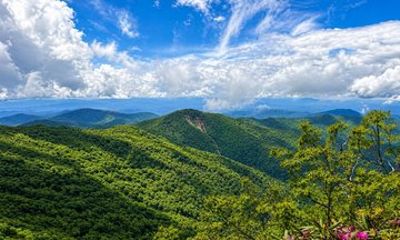 Private Boutique Blue Ridge Parkway Full Day Tour