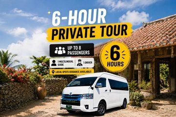 Okinawa Private Tour — Driver and Guide Included 1–8 Guests (6h)