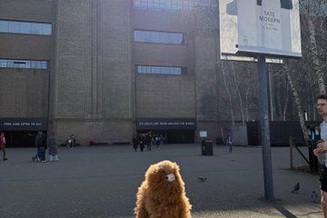 Tate Modern Private Guided Tour