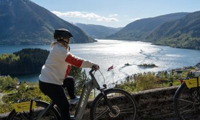 E-Bike and RIB Fjord Safari Day Tour from Bergen