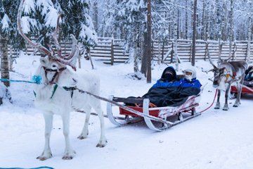 Snowmobile Safari to Reindeer Farm - Rovaniemi