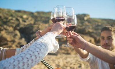 Wine and Cava Tour in Penedes from Barcelona with Hotel Pickup