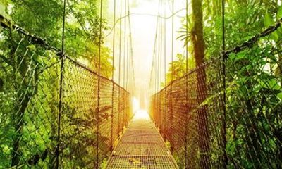4 Days Arenal and Monteverde Essentials