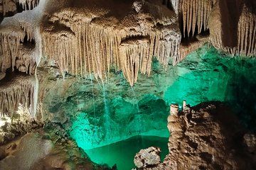 Caves Castle and Coast Private tour