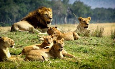 1 Day Safari Adventure to Tsavo East National Park From Mombasa