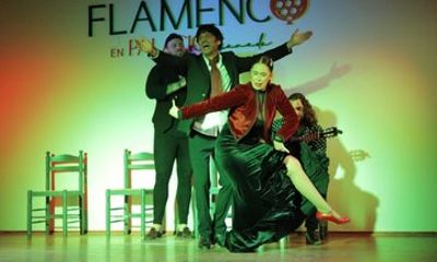 Flamenco Show at Palacio Granada