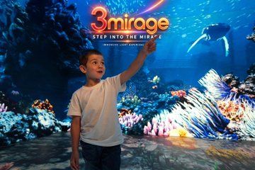 3Mirage 360 Degree Immersion Virtual Experience