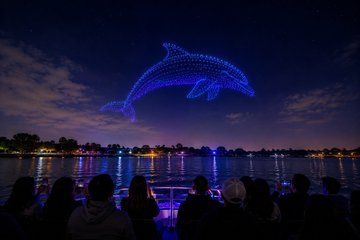 Drone Light Show Bay Cruise