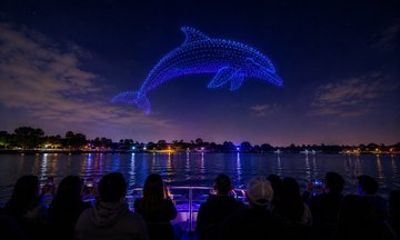 Light Show Bay Cruise