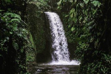 Private Waterfall Tour in Ubud with Local Highlights
