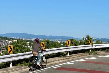 Osaka E Bike Tour: Hidden Nature, Temple & Japanese Cheesecake