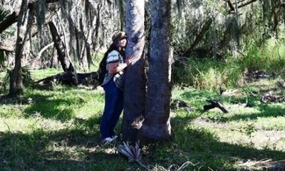 Myakka River Vortex Tour