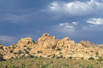 Guided Tour of Joshua Tree National Park with Local Expert