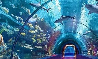 Antalya Aquarium Admission Ticket
