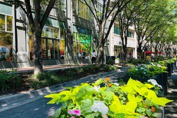 Food and Shopping Tour in Bethesda Row