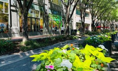 Food and Shopping Tour in Bethesda Row