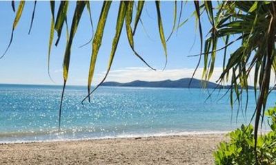 Rainforest to Reef Guided Bushwalk Adventure Airlie Beach