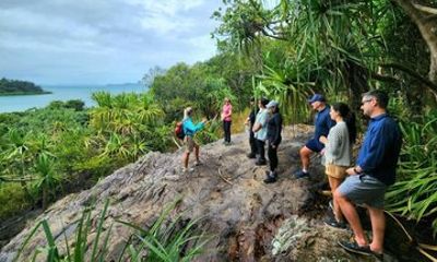 Rainforest to Reef Guided Bushwalk Adventure Airlie Beach