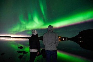 Become the Hunter Live Self Drive Aurora Hunting Experience