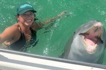 3 Hour Private Shell Island Dolphin and Snorkeling Tour