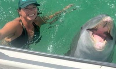 3 Hour Private Shell Island Dolphin and Snorkeling Tour