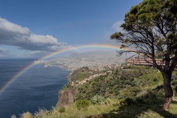 Madeira: Private TukTuk Tour - Old Town, Views & Mountains