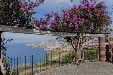 Madeira: Funchal City and Views Private TukTuk Tour