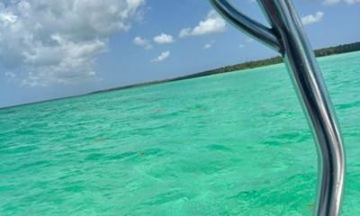Saona Island Day Trip from Punta Cana with Lunch