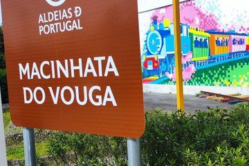 Tour Bairrada Vines and Museums and Natural Landscape from Porto