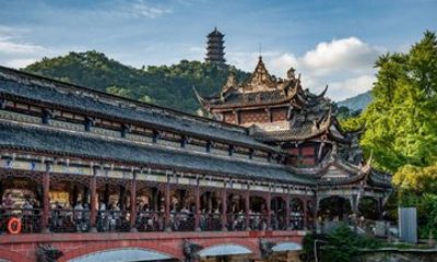 Wolong Panda Reserve and Dujiangyan One Day Private Guided Tour
