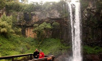 Explore Aberdare National Park in a 2-Day Camping Safari