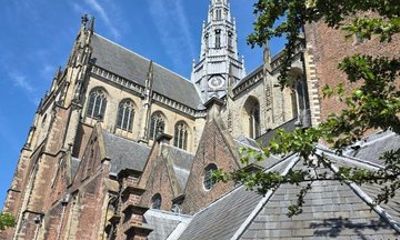 Haarlem Highlights: Windmills, Masters & Hidden Stories