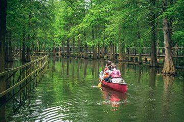 Shanghai Chongming Island Wetland and Water Forest Canoeing Tour