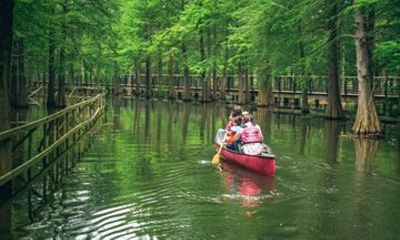 Shanghai Chongming Island Wetland and Water Forest Canoeing Tour